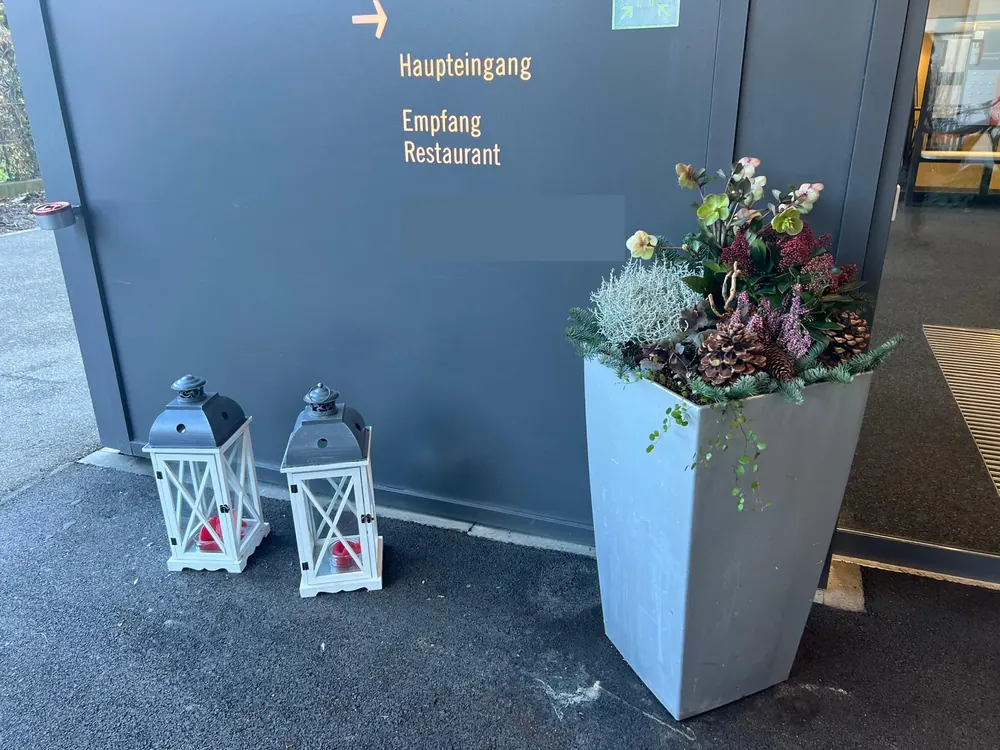 Innen- und Aussenbegrünung mit Pflegeserviceabo